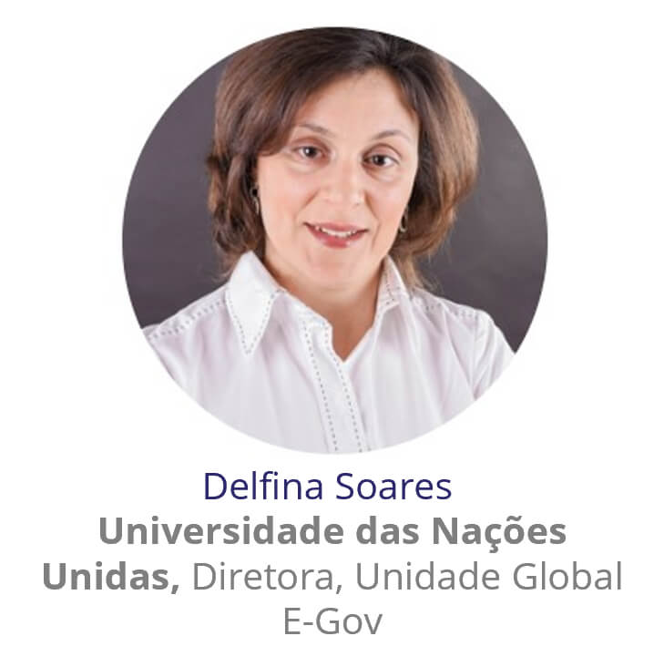 Delfina Soares, Universidade das Nações Unidas, Diretora