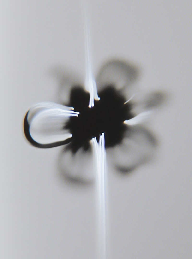 A black and white photo of a flower.