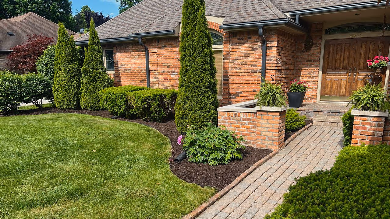 Professional landscape maintenance by ANM Greenscapes