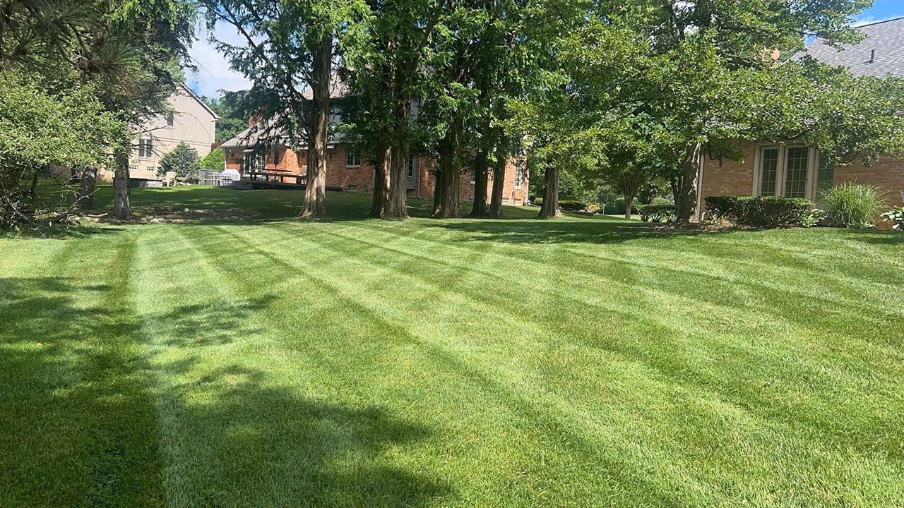 Reliable lawn care services near me