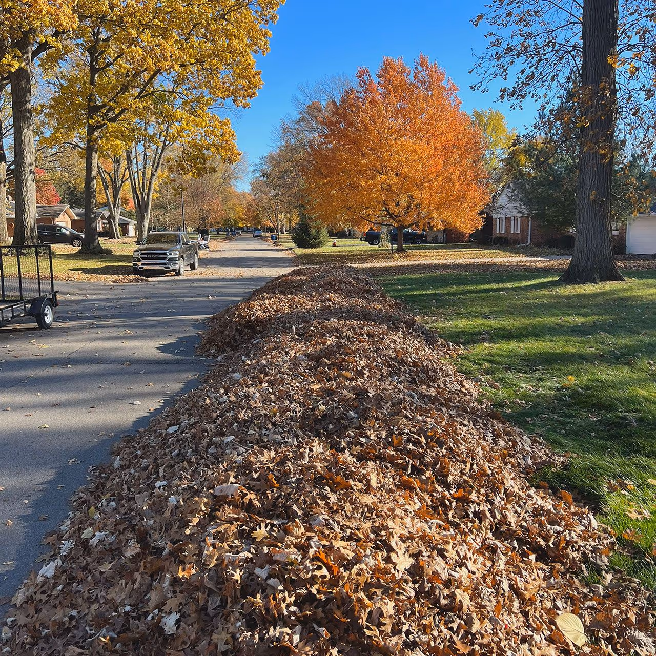 ANM Greenscapes curbside leaf removal with neatly piled fall leaves along a residential street