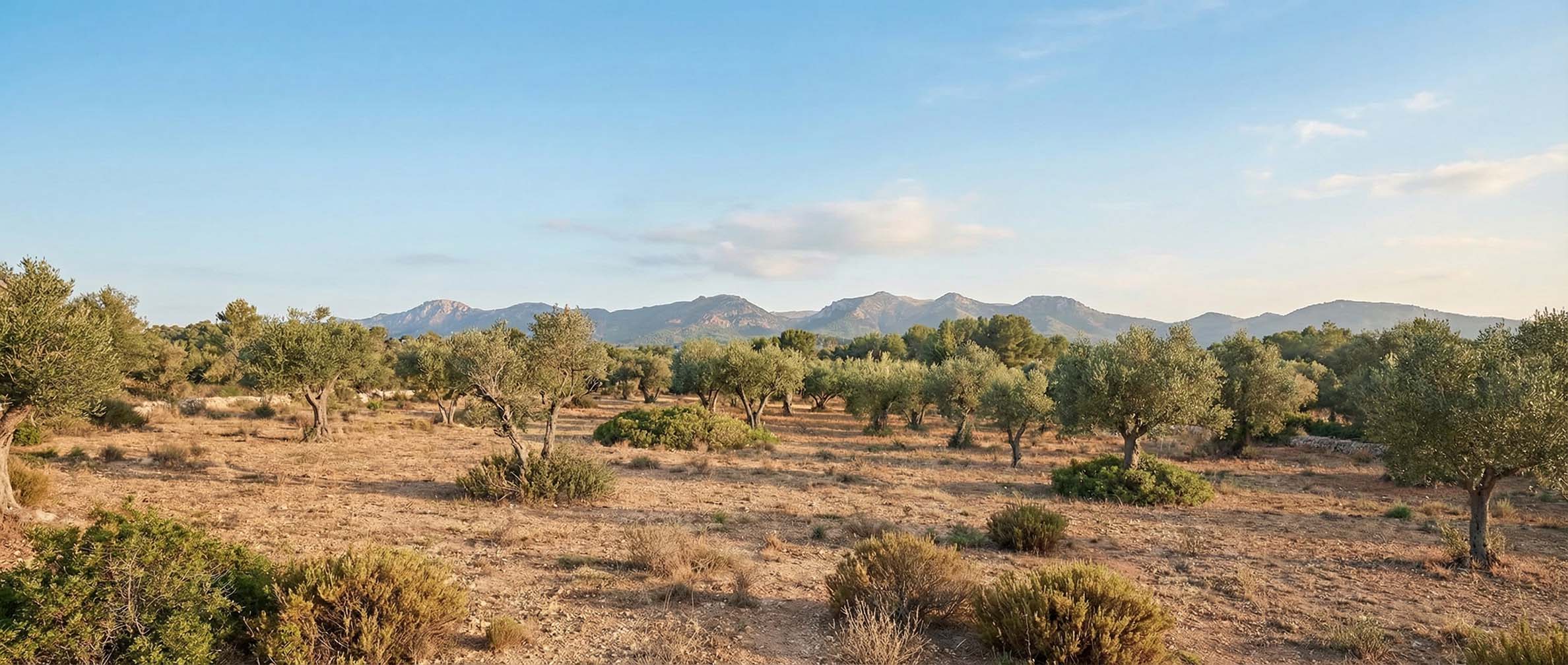 Mediterrane Villa mit Außenpool und Natursteinwänden