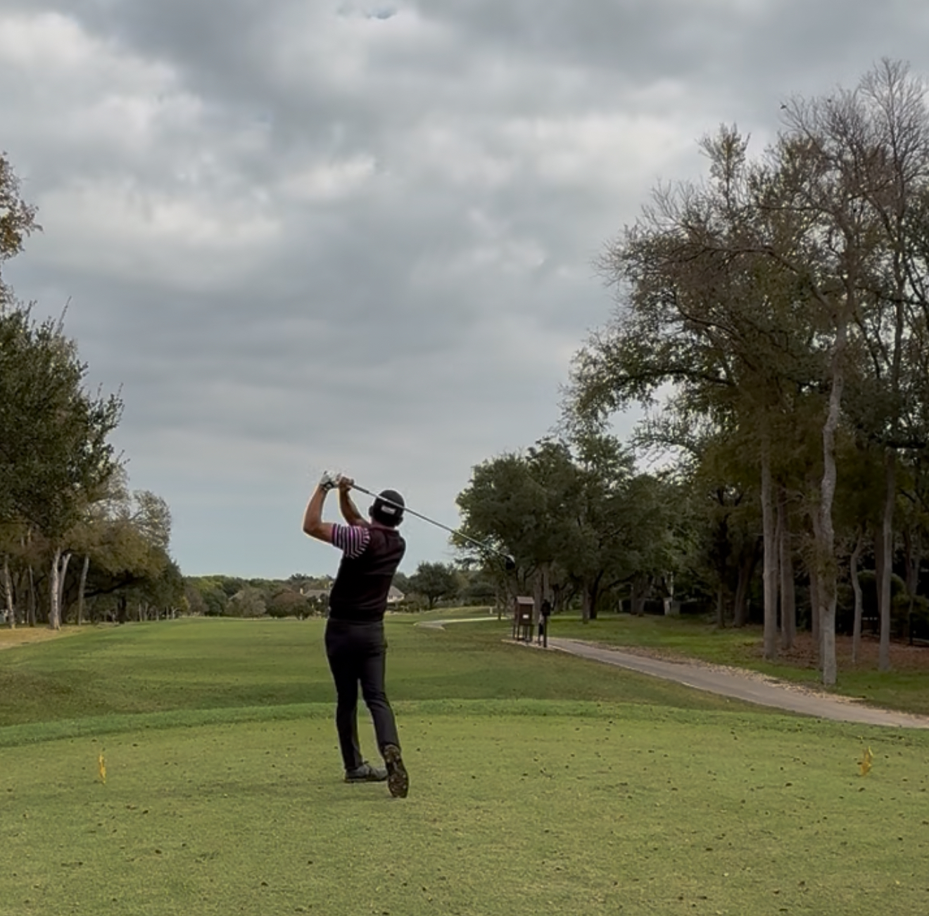Golfer in black and purple swinging a golf club on a fairway under a cloudy sky.