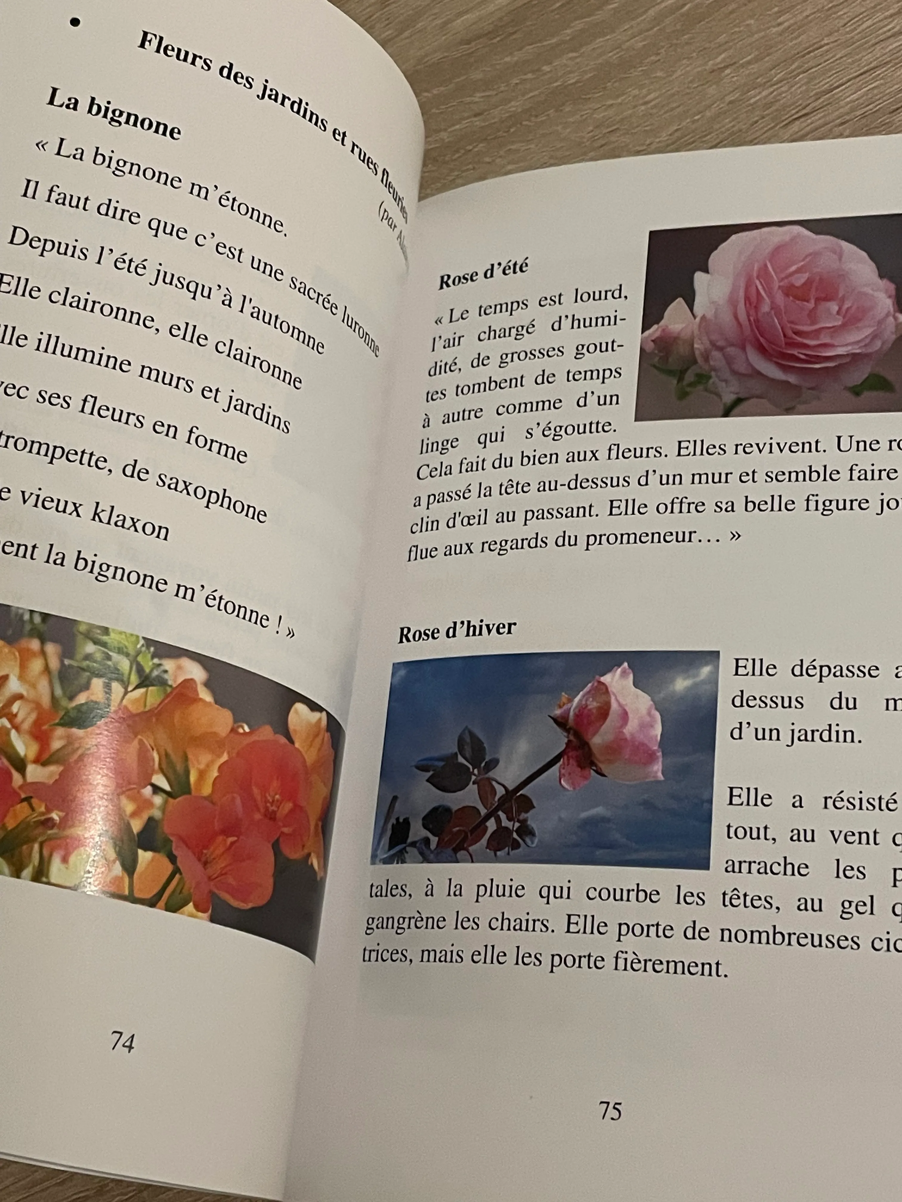 Exemple de pages intérieures avec des photos du livre Les fleurs de la passion