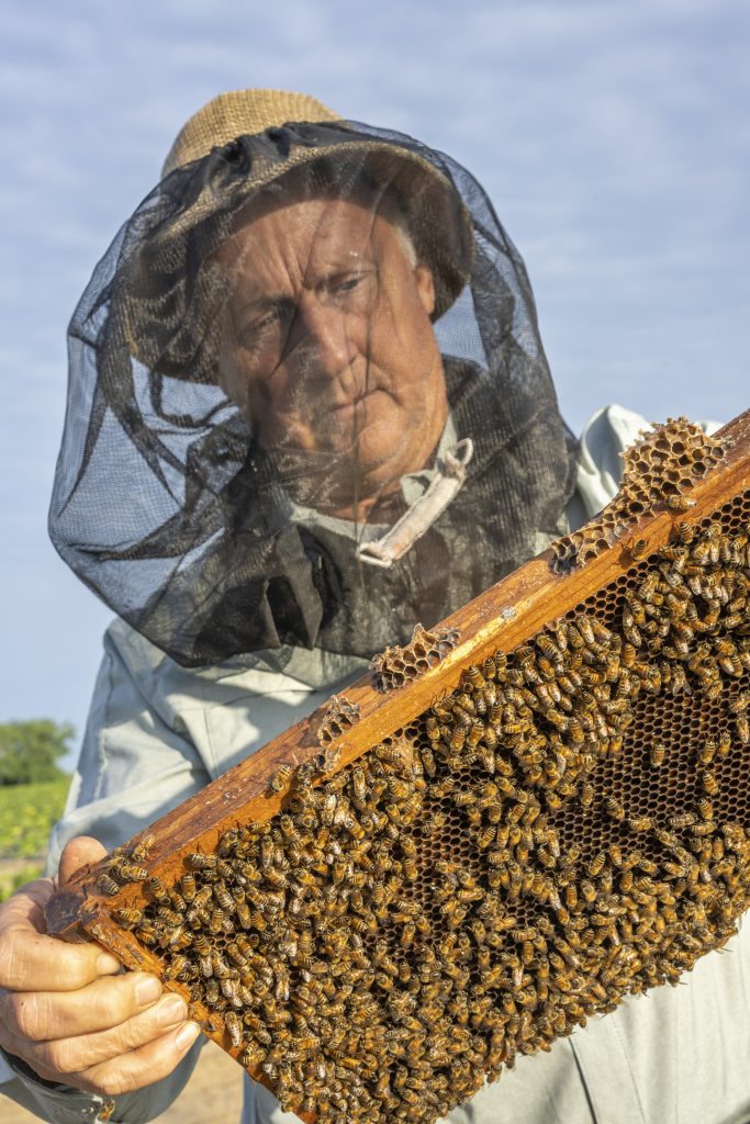 Beekeeker Barry Hart checks his hive of honey bees in Barwick, Georgia