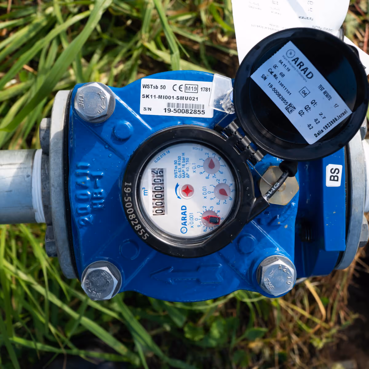 Blue water meter installed in grass with its register visible