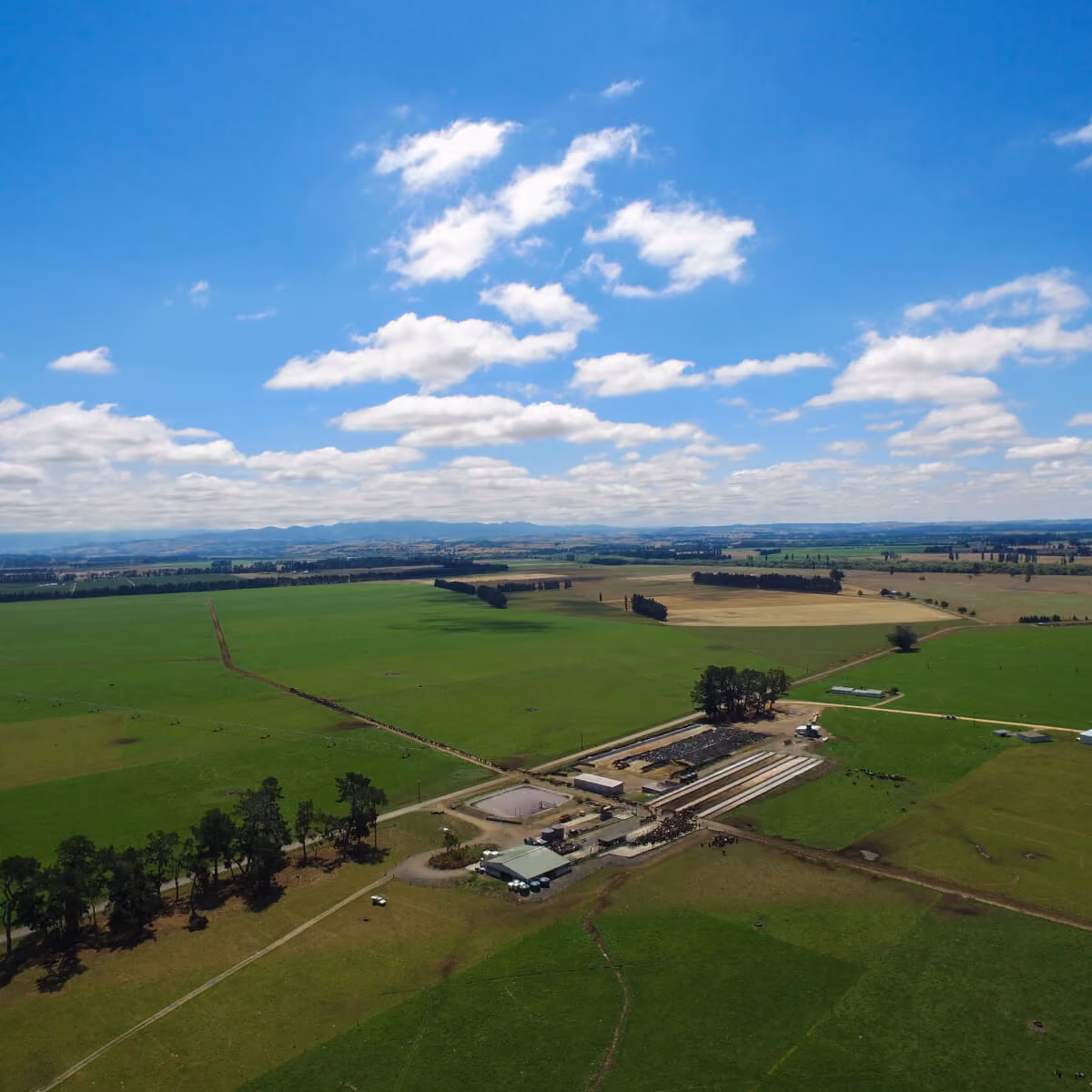 Aerial view of dairy farmland and farm buildings