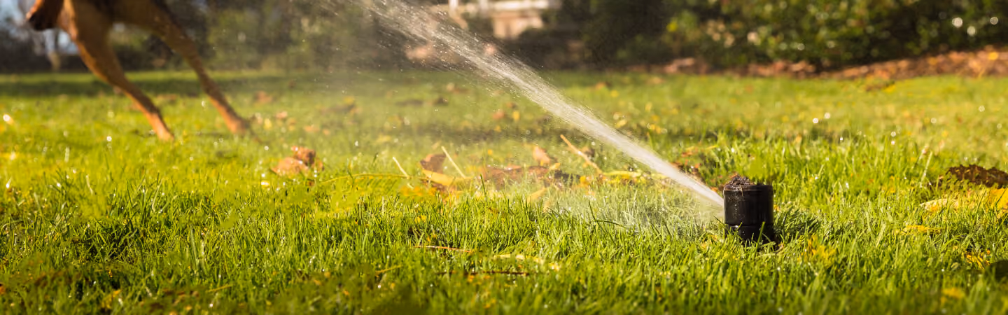Lawn sprinkler watering a garden