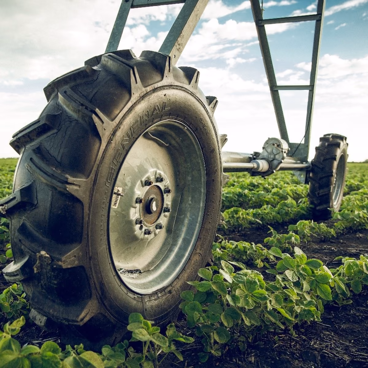 Tractor wheel beside an irrigated crop