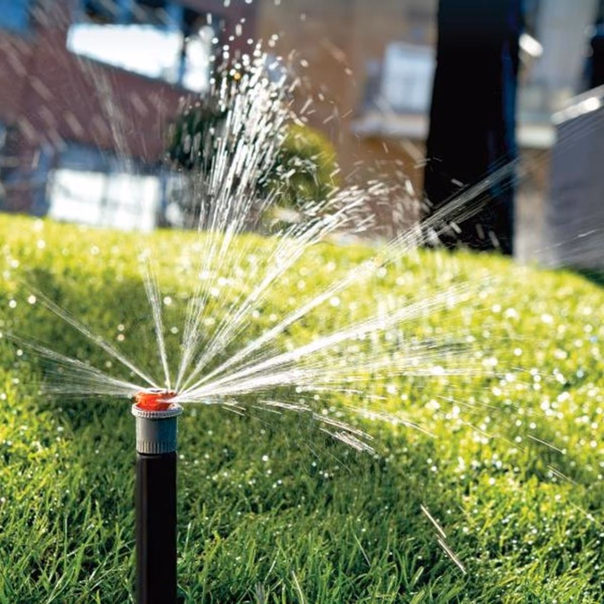 Rotary sprinkler watering a lawn