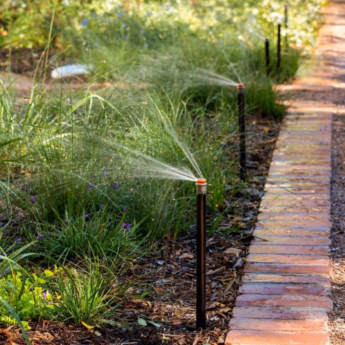 Drip irrigation installed beside a garden path