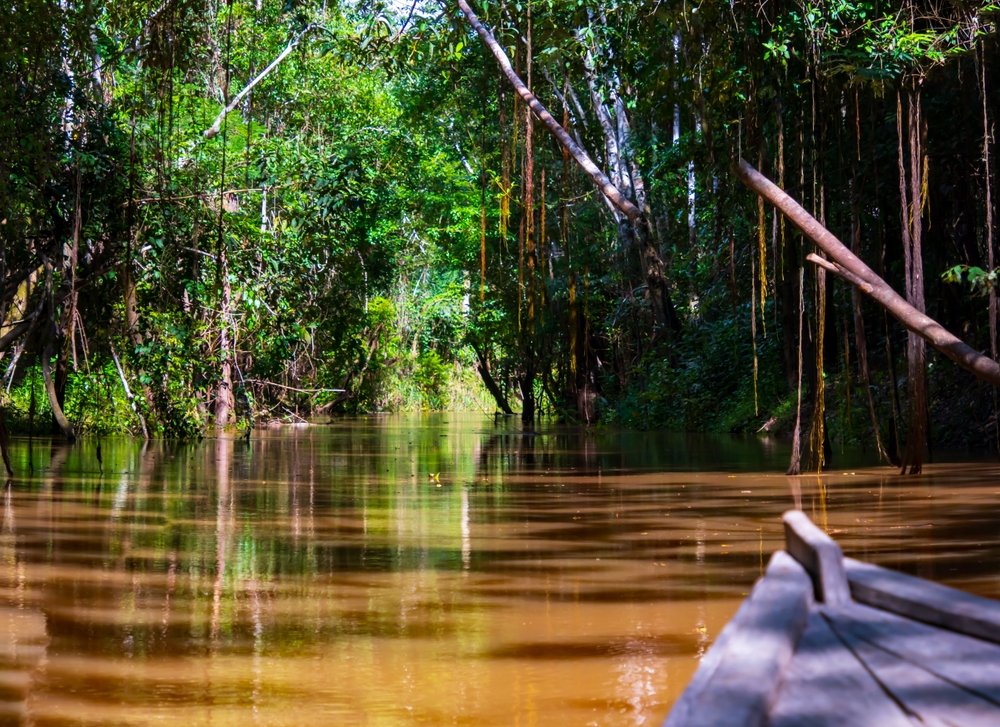 Manaus é um dos melhores lugares para viajar em agosto, época em que a floresta fica inundada.  