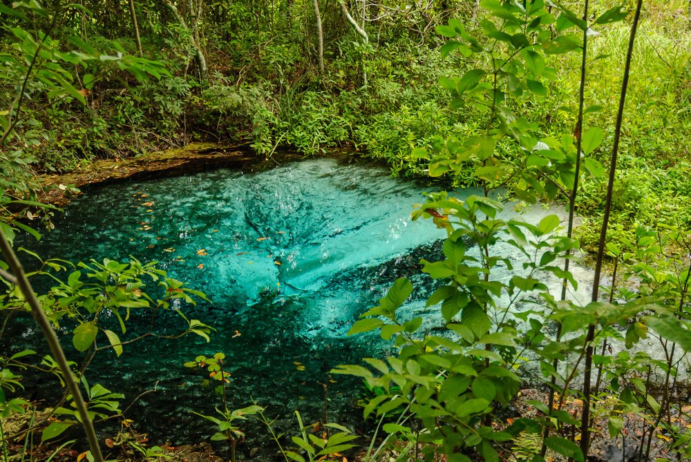 ecoturismo