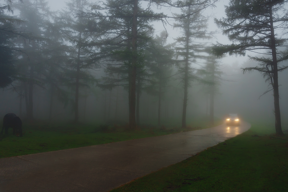 Farol de neblina