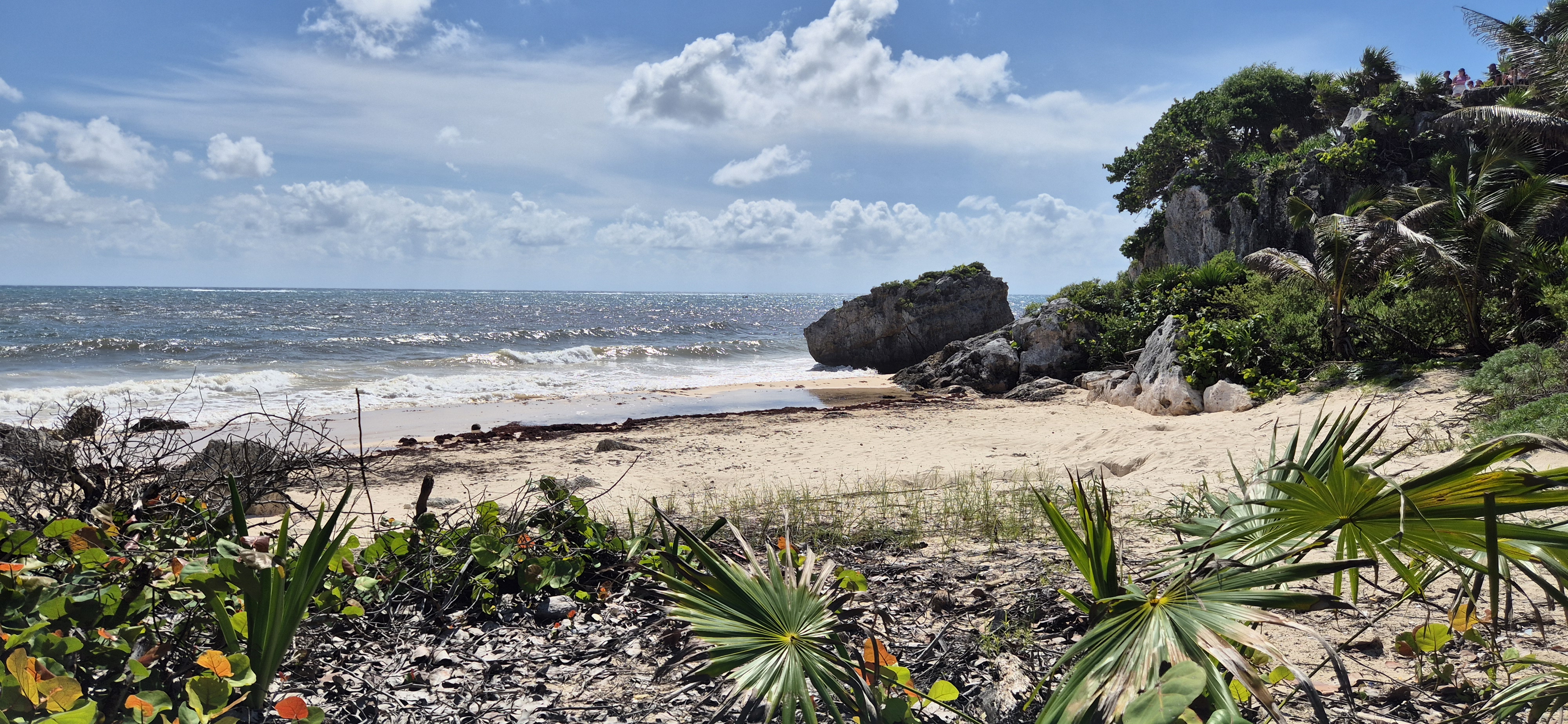 image of auto memorabilia showcase