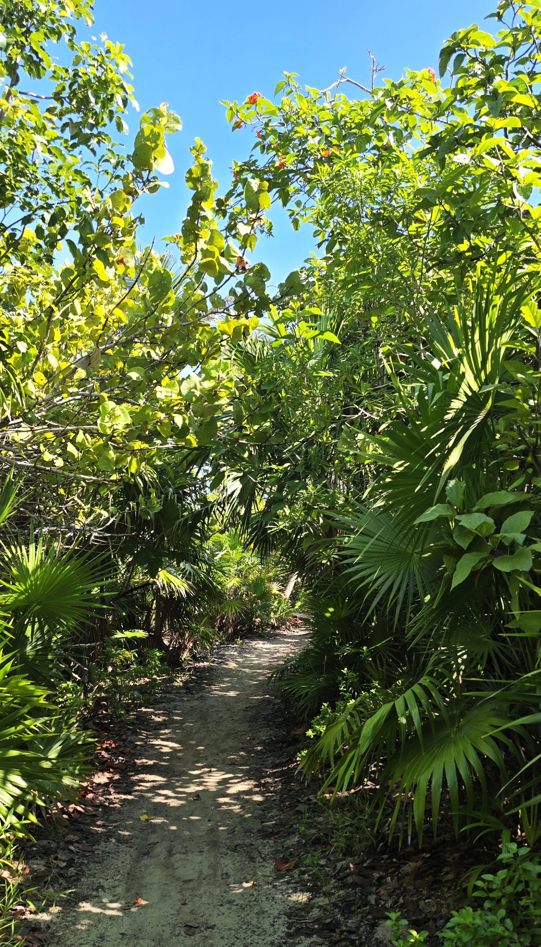 Pauschalpiratin – Minimalistisches Reisen, Naturverbundenheit und echte Abenteuer.