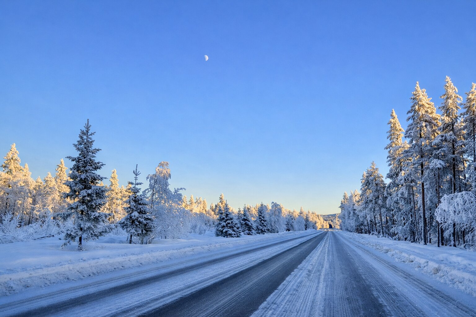 Straße im Schnee mit Alee