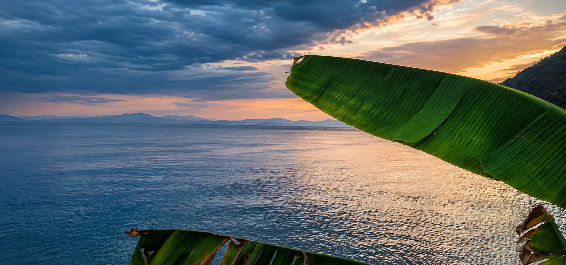 Meer im Sonnenuntergang mit Bananenblatt