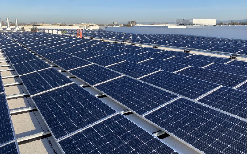 Biotech Company - Newark, CA