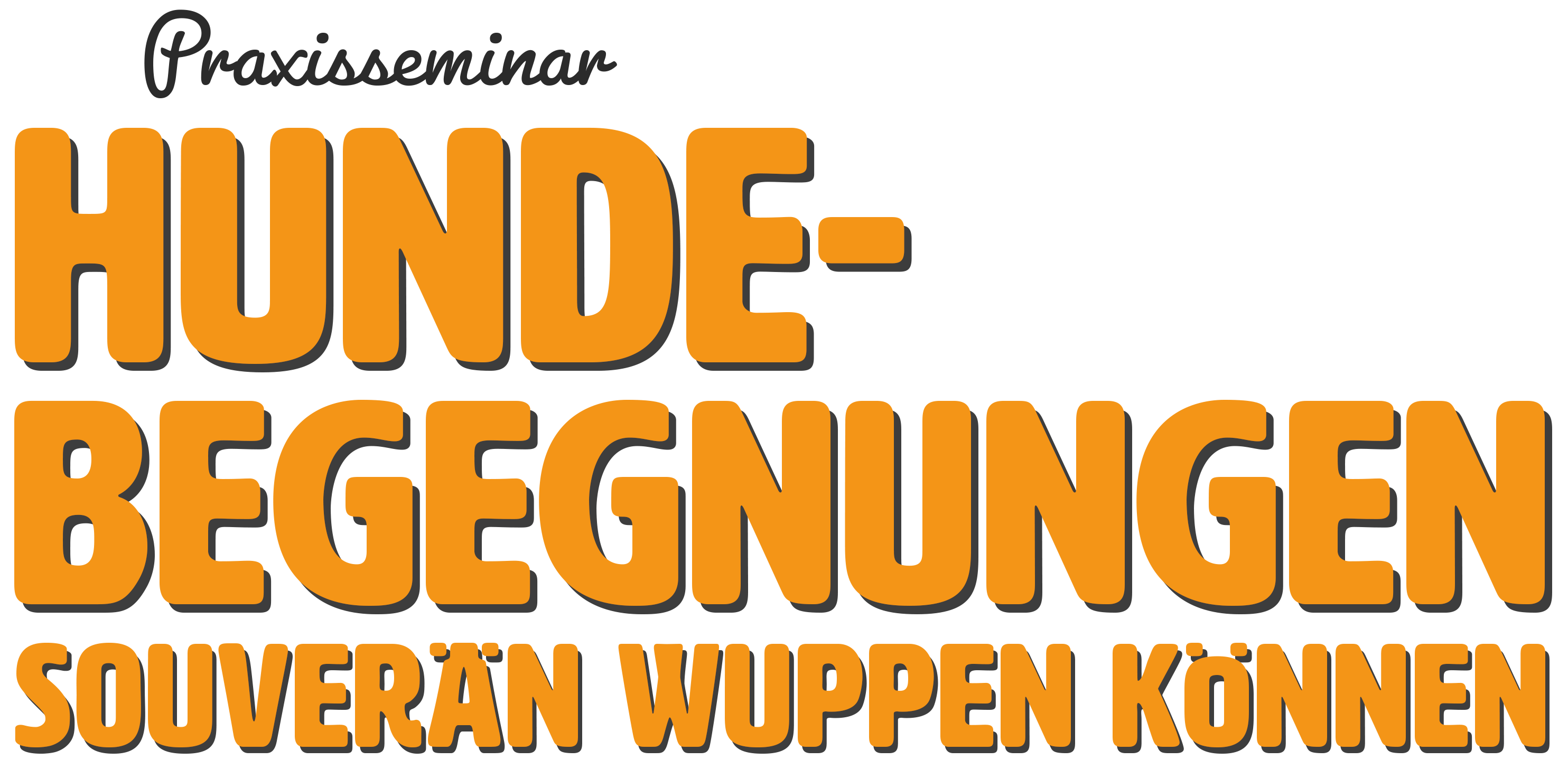 Kennst Du das? Eigentlich möchtest Du entspannt spazieren gehen und die Seele baumeln lassen… Und dann kommt der Nachbarshund um die Ecke und die Hölle bricht los.