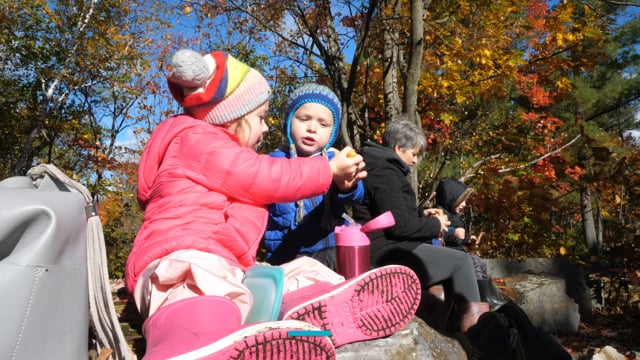 Forest schools and risky play | Marlene Power