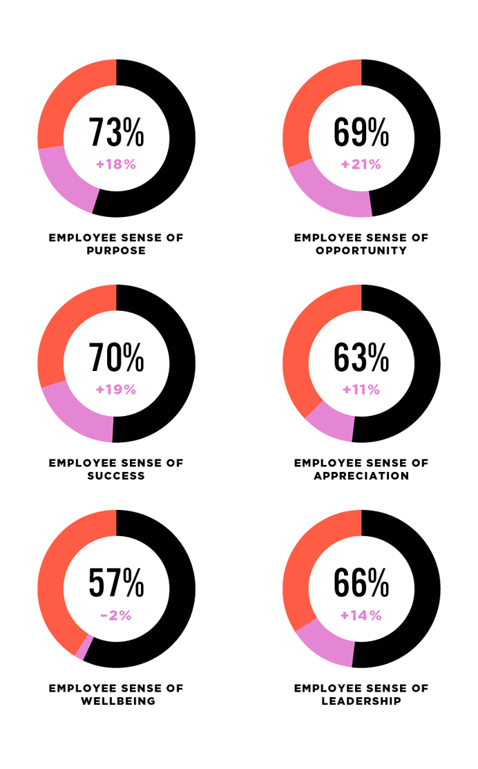 The Talent Magnets™: A chart showing the current state of six essential elements that define thriving cultures