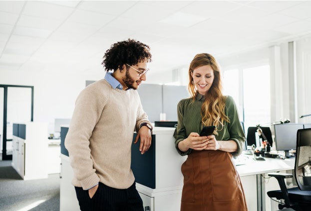 None: image is decorative