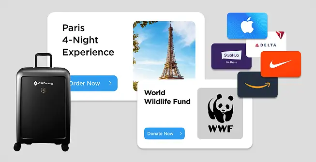 edeemable awards on O.C. Tanner's global rewards marketplace, including company merchandise, gift cards, charitable donations, and experiences.