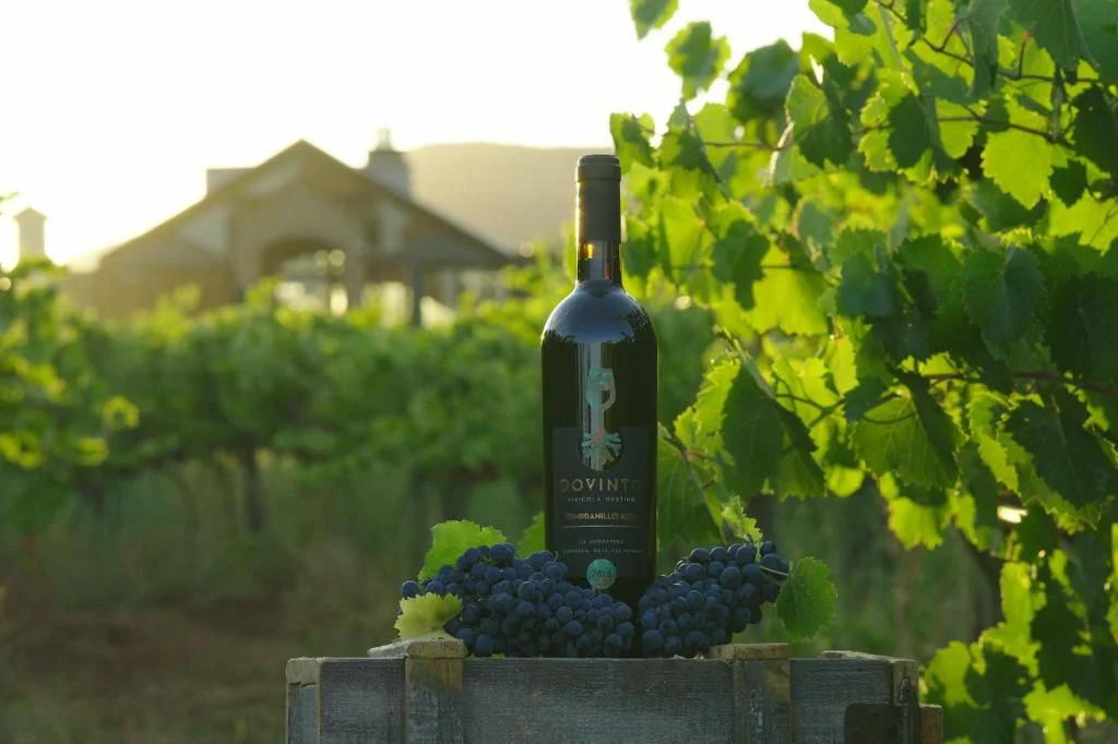 Bottle of red wine with grape clusters on a wooden crate in a vineyard with green leaves and a building in the background.