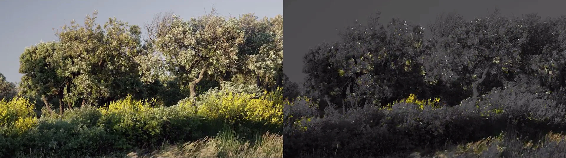 Quayola, Pleasant Places – Diptych, 2016 Two-channel video (color, sound), media player, screen or projector Dimensions variable, landscape orientation 15 min 20 sec, loop. Courtesy of bitforms.