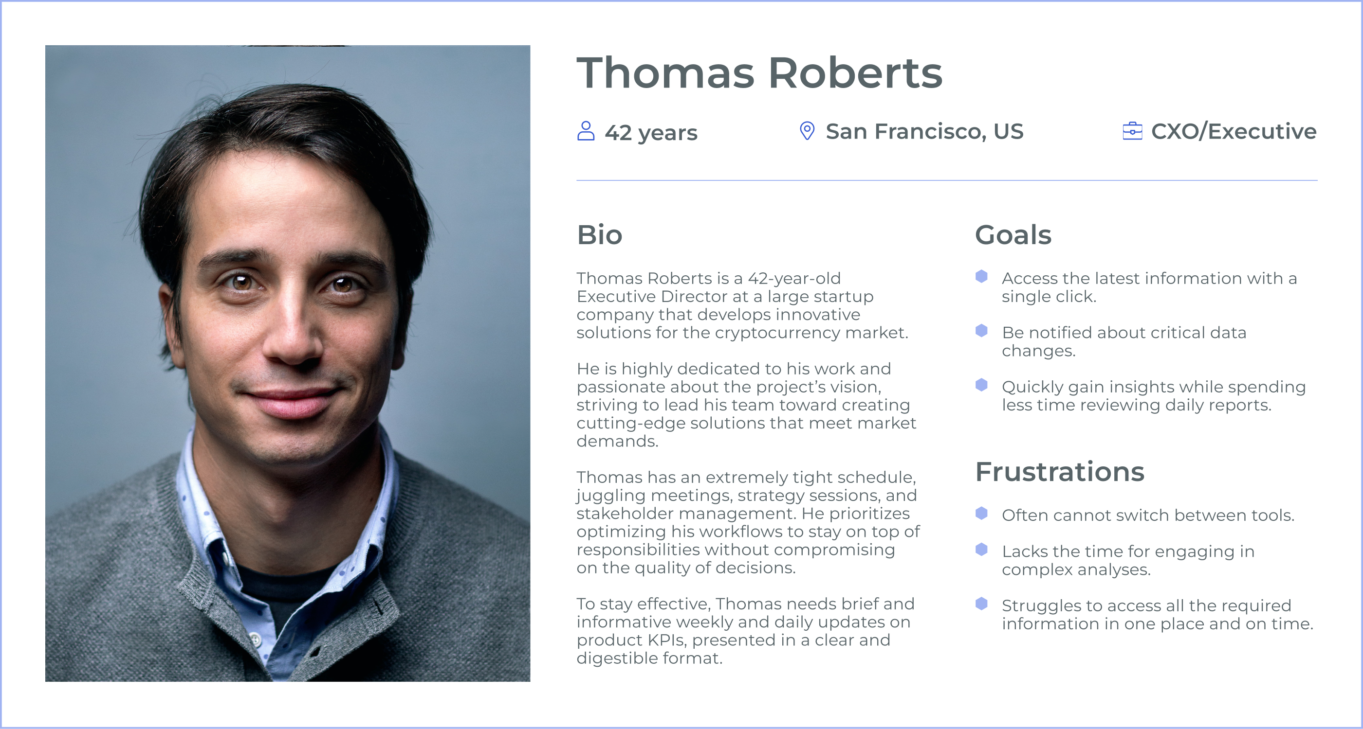 Data analyst persona for the Chainlink dashboard project