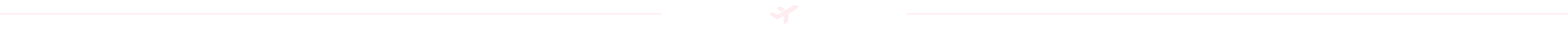 SkipQ Admin divider