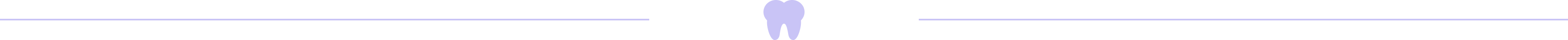 Smile Labs divider