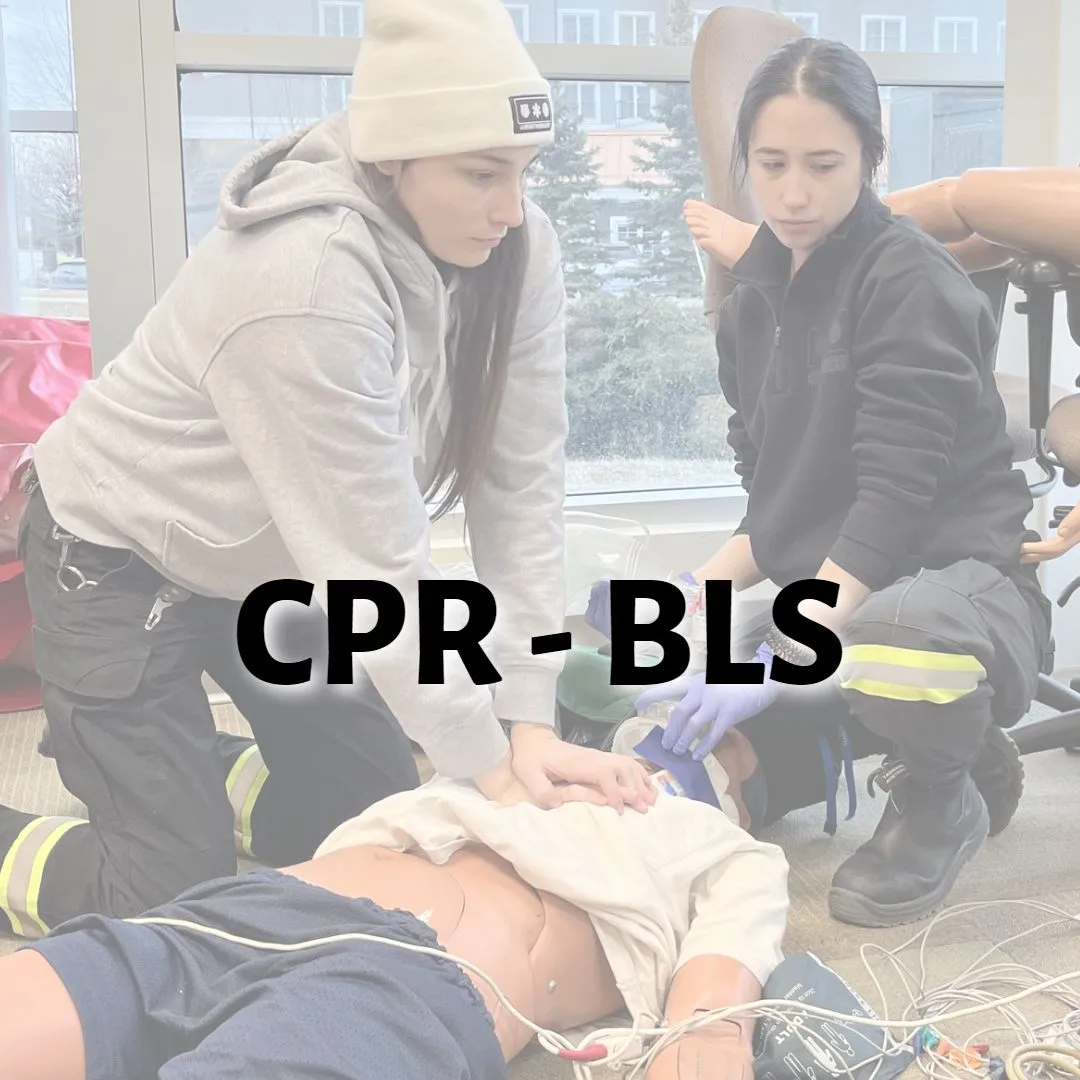 Basic Life Support CPR Course (CPR BLS / CPR BCLS / HCP)