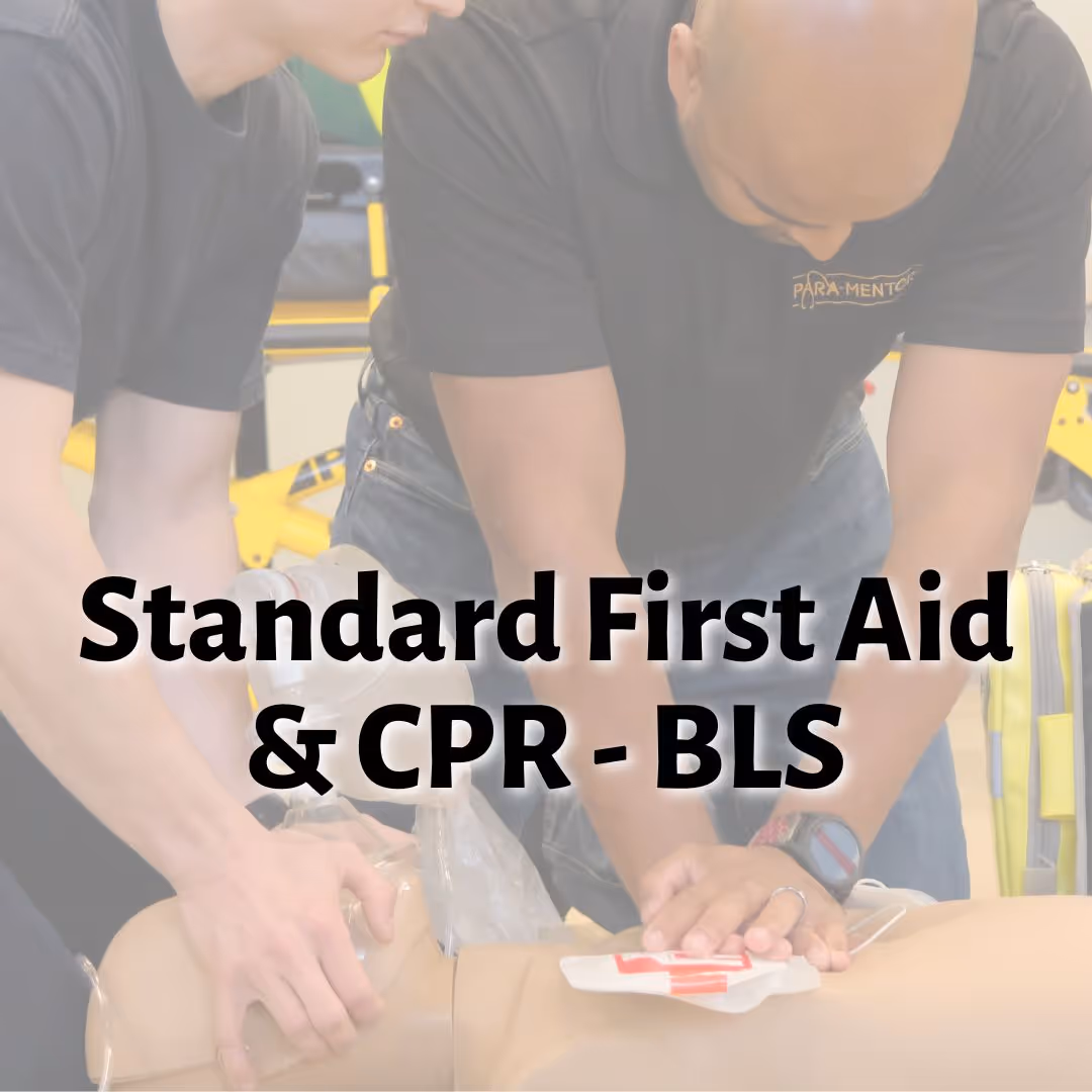 Intermediate First Aid CPR BLS (formerly Standard First Aid)
