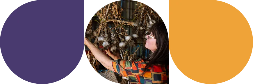 Woman arranging hanging dried garlic bulbs in a rustic setting.