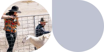Two people interacting with a sheep near a wire fence outdoors on a sunny day.