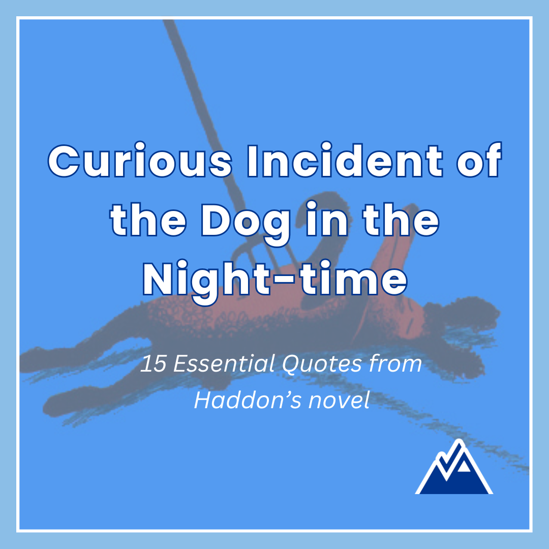 15 Essential Quotes from Curious Incident of the Dog in the Nighttime