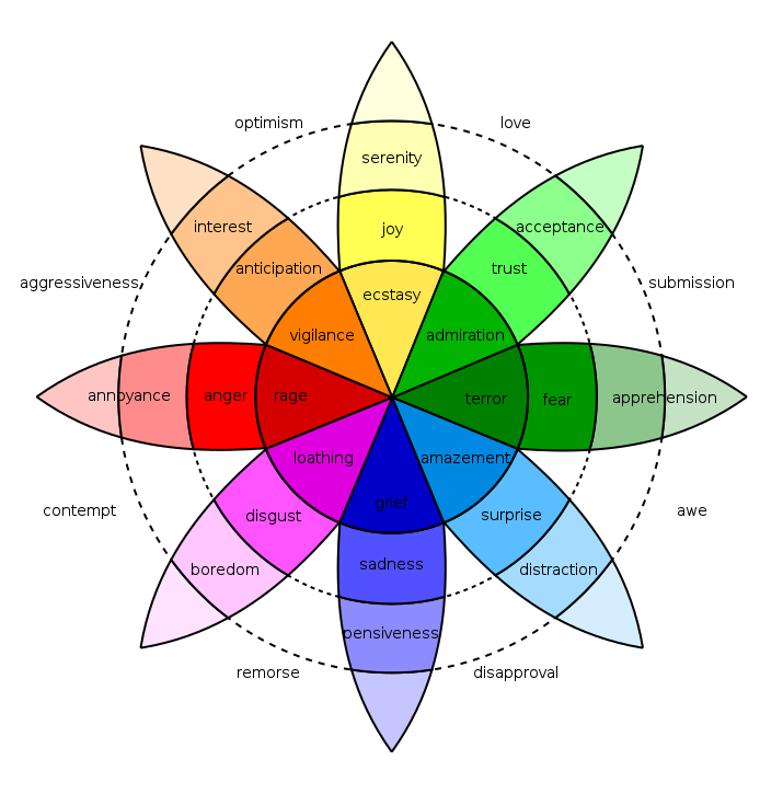 Individual and Collective Human experiences