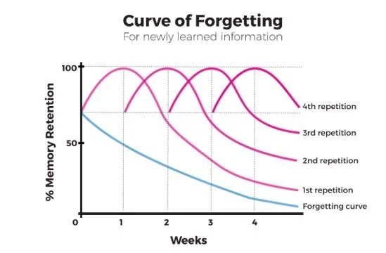 According to Ebbinghaus’ forgetting curve, without reinforcement, we forget up to 90% of the new information we learn. However, this is easily combatted by regular review and reinforcement