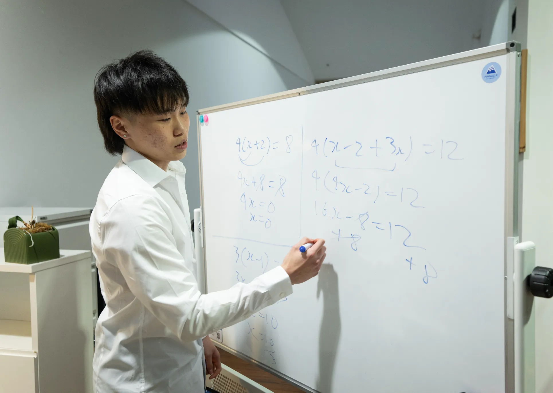 Tutor explaining ideas on the whiteboard