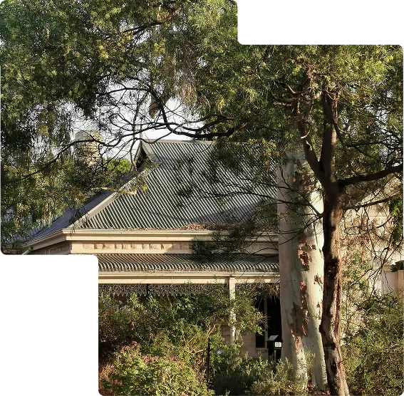 Partially visible house with a corrugated metal roof surrounded by green trees and foliage in sunlight.