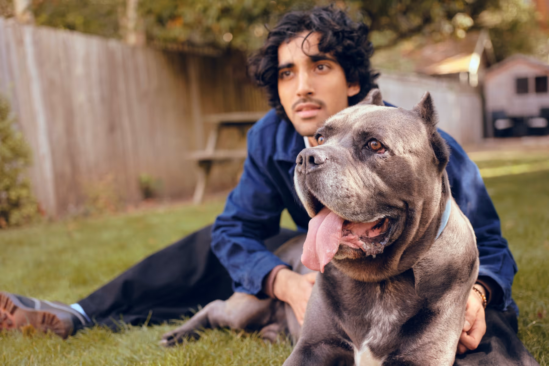 Young man sitting on grass in a backyard with a large gray dog resting in front of him.