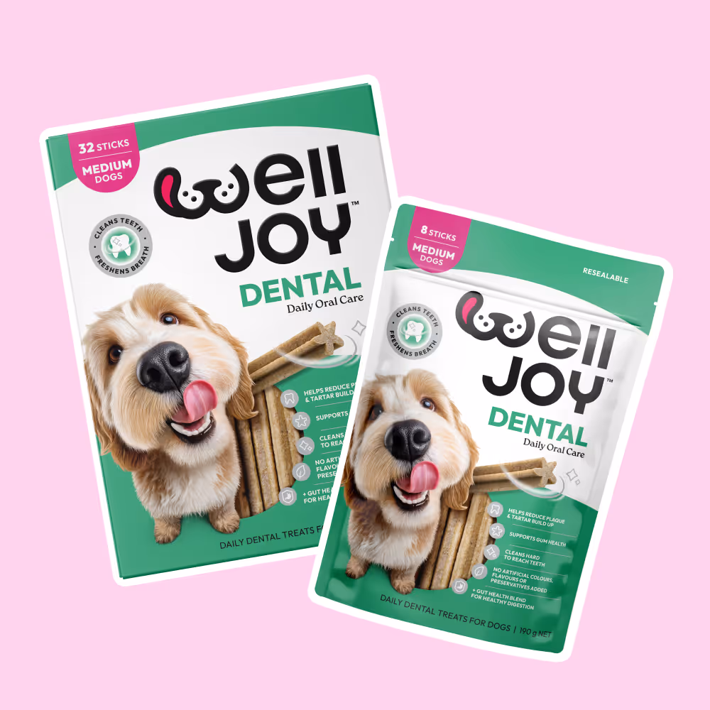 Two packages of WellJoy Dental daily oral care treats for medium dogs, featuring a happy dog licking its nose and dental sticks, on a pink background.