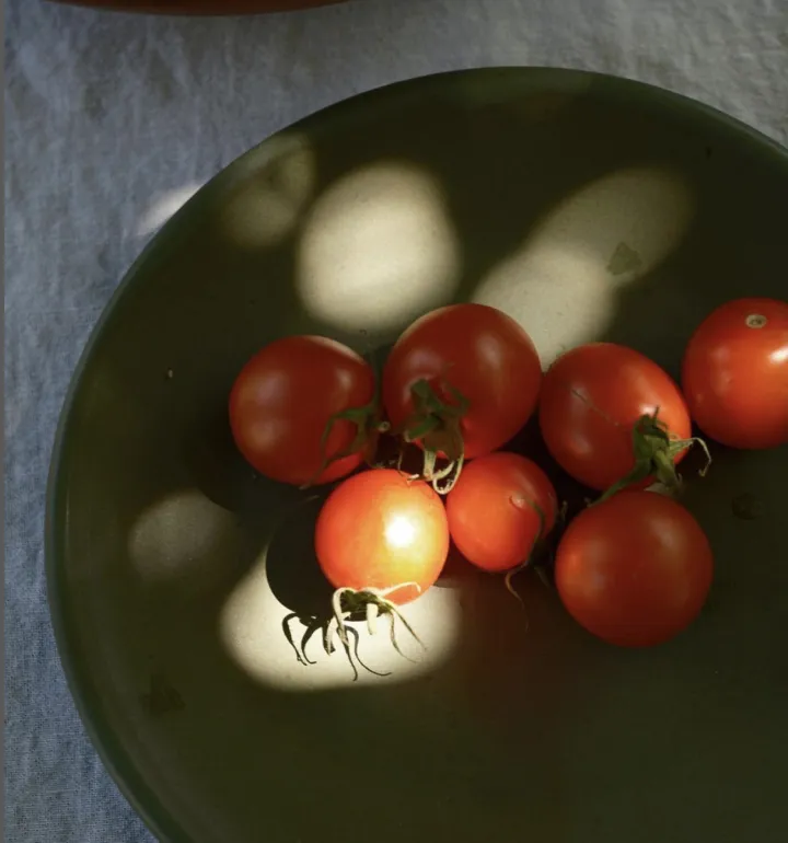 Seven red tomatoes on the vine placed on a dark green plate with dappled sunlight spots.