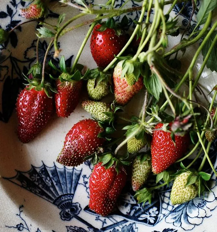 Cluster of strawberries in various ripening stages resting on a blue and white decorative plate.