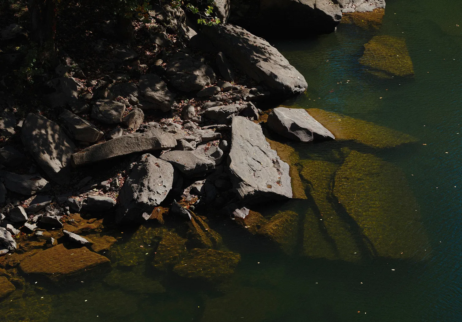 Rocky shoreline with large stones partly submerged in clear green water and shadows from nearby trees.