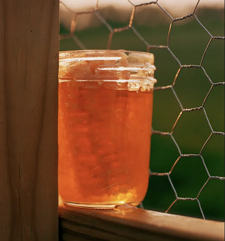 Glass jar filled with amber honey placed on a wooden ledge against a background of chicken wire fencing and greenery.