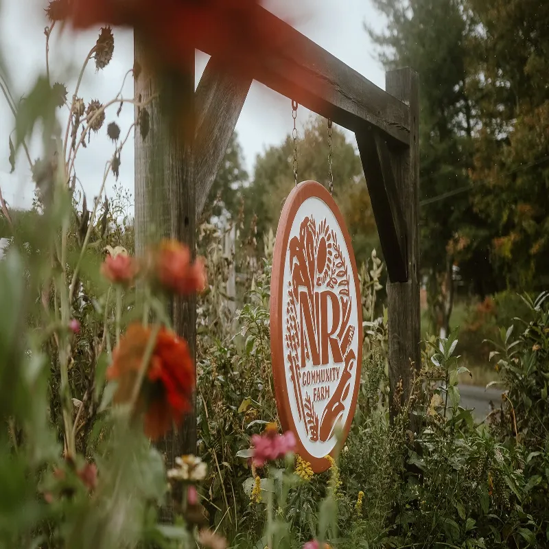 Image shows the New Roots Community Farm sign surrounded by plants.
