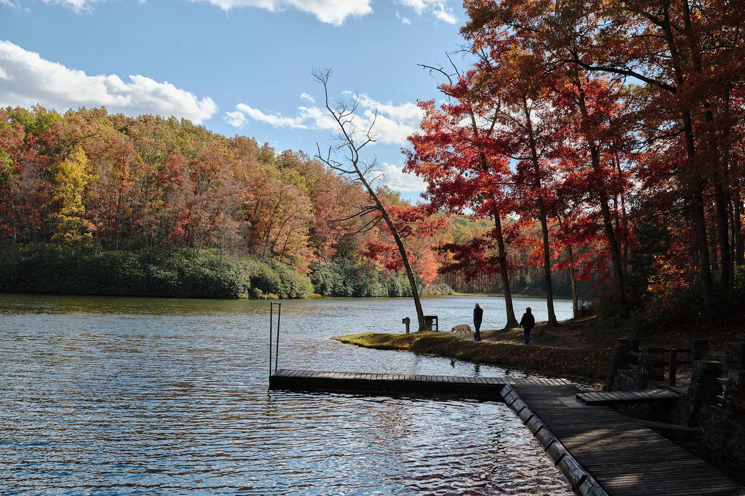 Two people and a dog walking along a lakeside path with colorful autumn trees and a wooden dock on the water.